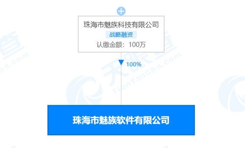 珠海市魅族軟件注銷 解讀其在計算機網絡及軟件技術開發(fā)領域的轉型與影響
